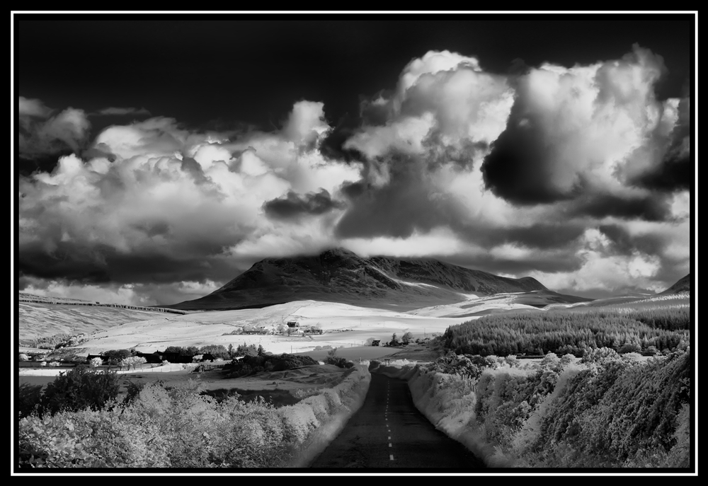 Scotland 2010   0355   Y   IR 7220 s